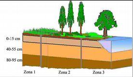 zone: prossimale,intermedia e distale rispetto alla canaletta adacquatrice (Ab1; Ab2; Ab3) a tre diverse profondità (S, M, D) S: