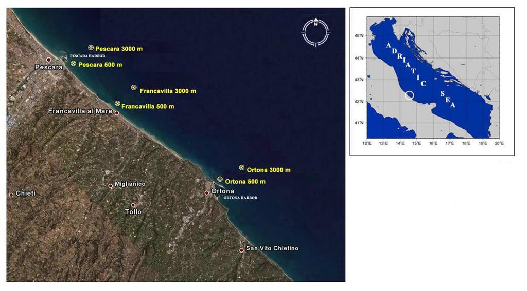 antistanti le città di Pescara, Francavilla al mare ed Ortona, a 500m ed a 3000m da costa, durante i mesi di giugno, luglio ed agosto 2007.