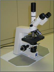 Il microscopio ottico A 4. 5 B La microbiologia studia quegli organismi che non si vedono a occhio nudo e che vengono denominati Microrganismi.