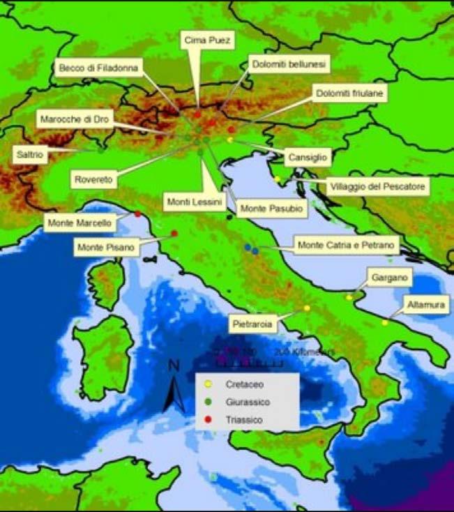 Abbiamo scoperto che le impronte fossili di dinosauri in ITALIA, sia