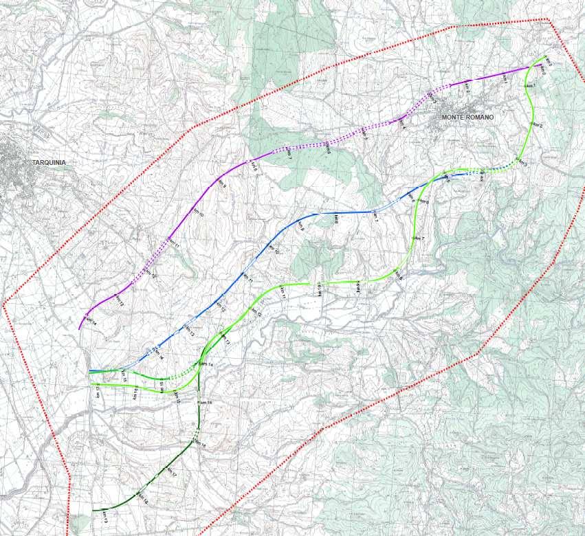 1. INTRODUZIONE L intervento in argomento fa parte dell itinerario Civitavecchia Orte, che congiunge la E55/E45 e la E35 (A1) con il Porto di Civitavecchia ed e inserito nella rete E e nella rete