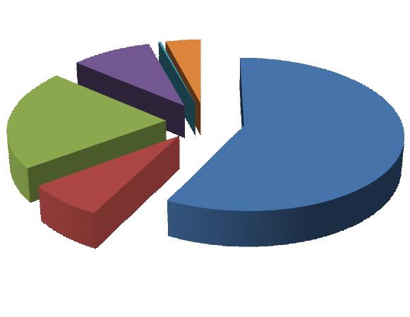 Totale MP riconosciute nel 2012 Veneto Tutte le gestioni: 733 (al 28.02.