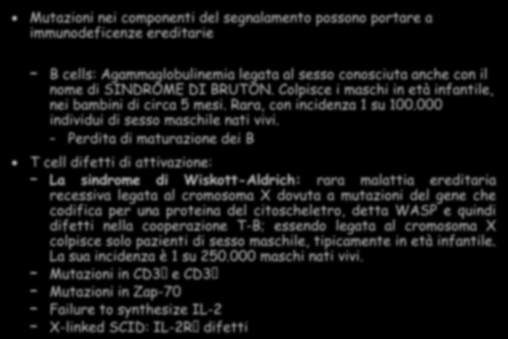 Mutazioni nei componenti del segnalamento possono portare a immunodeficenze ereditarie B cells: Agammaglobulinemia legata al sesso conosciuta anche con il nome di SINDROME DI BRUTON.