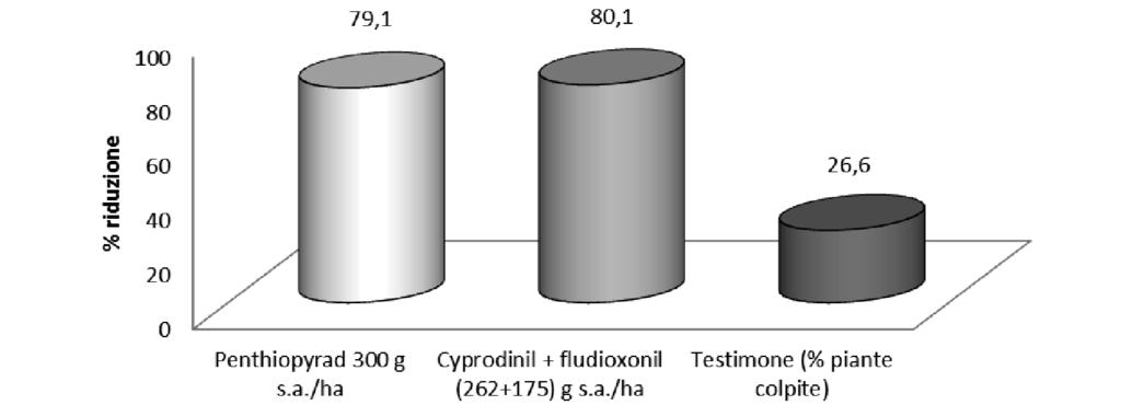 Figura 1. Efficacia di penthiopyrad (Fontelis) nei confronti di B. cinerea su lattuga.