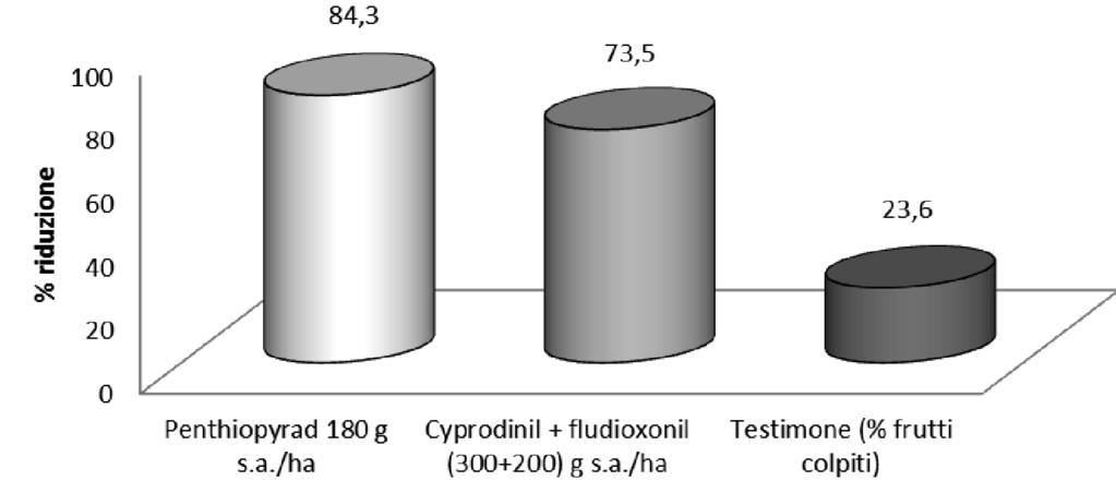 Efficacia di penthiopyrad (Fontelis) nei confronti di S. sclerotiorum su lattuga.