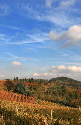 Colli Euganei Foreste Casentinesi conclusioni a margine I riferimenti nazionali 1 Workshop nazionale sulla Carta Europea del Turismo Sostenibile nelle Aree Protette.