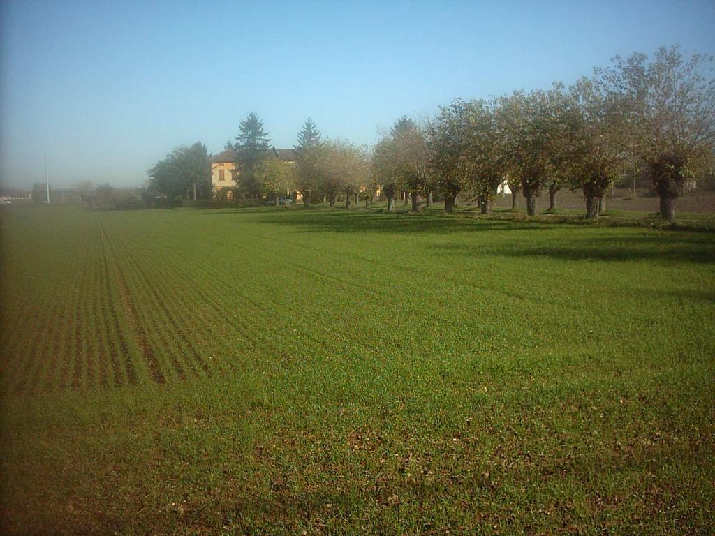 Alessandria (AL), 23 Marzo 2017 Presentazione esiti studi epidemiologici in Fraschetta Valutazione dello stato di salute dei residenti nell area Fraschetta del Comune di