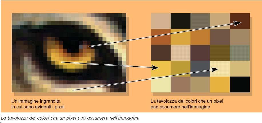 Palette Tavolozza dei colori (palette): in un immagine indica quali colori possono essere assegnati ad un pixel dà la corrispondenza