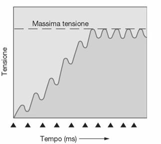 Se gli stimoli arrivano molto rapidamente, il muscolo raggiunge la sua massima tensione.