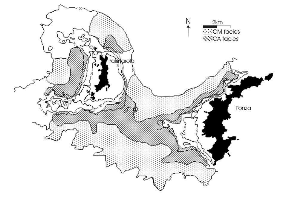 Isole Pontine RISULTATI: i carbonati algali nei sedimenti vol. (2 cm layer) densità sed. massa corall.