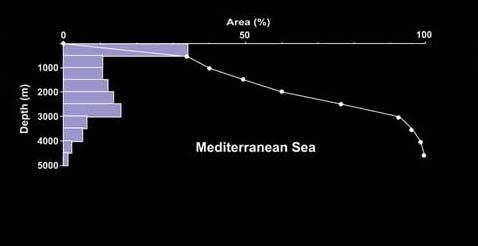 piattaforma/ambiente profondo: Mediterraneo > oc. globale oceano globale Amblas et al, 2004 CONCLUSIONI Mediterraneo area % prod.