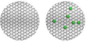 disperdente (15) = DNA