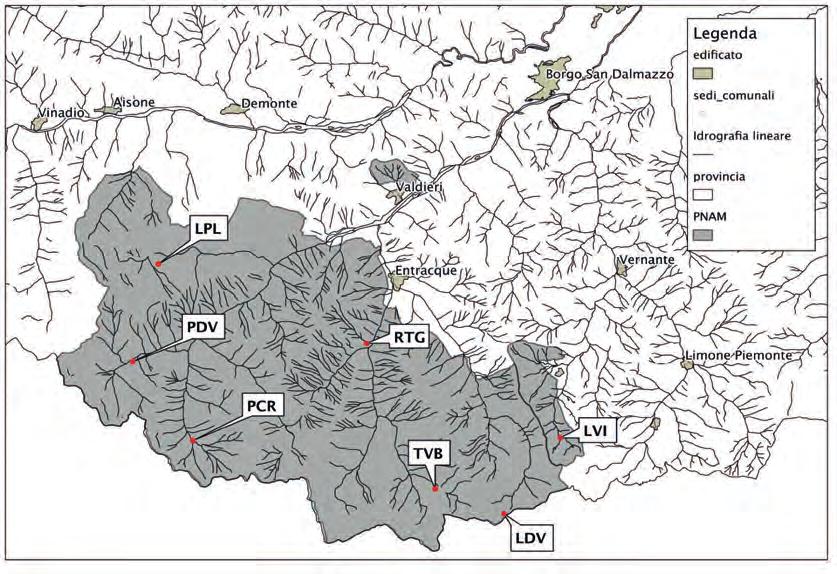 Gli Odonati del Parco Naturale Alpi Marittime