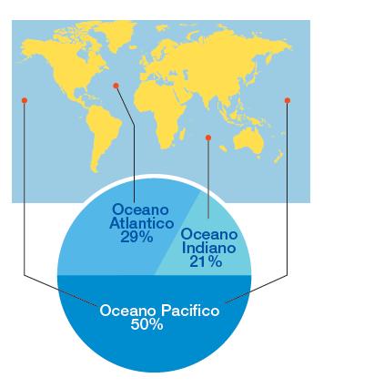 Le caratteristiche morfologiche e geologiche del fondo marino Oceani e mari differiscono sia per aspetti geografici che per caratteristiche geologiche.