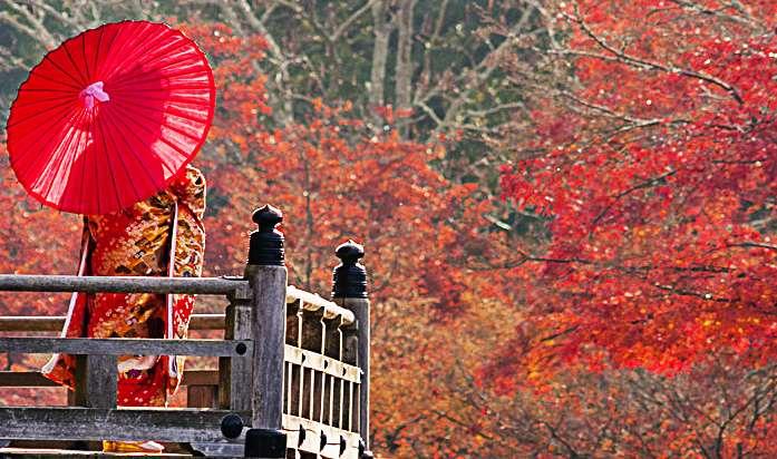 "MOMIJIGARI", I COLORI DEL FOLIAGE IN GIAPPONE Viaggio di gruppo con accompagnatrice dall'italia 22 Ottobre -- 01 Novembre 2017 L'autunno è una delle stagioni migliori per visitare il Giappone e per