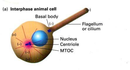 http://www.ncbi.nlm.nih.gov/books/nb K21580/figure/A5417/?