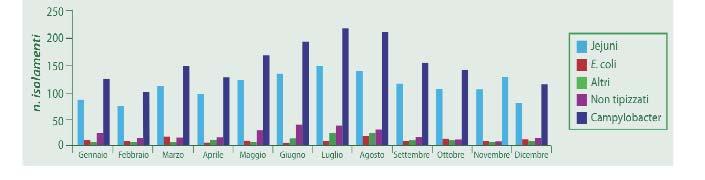 Distribuzione degli isolamenti umani di Campylobacter spp.