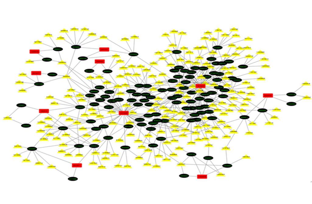 Esempio di network (ex ante) Rete sospetta di 10 soggetti (in rosso) di