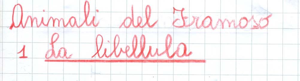 Descrizione Una libellula si specchia sull'acqua Le libellule hanno un capo molto voluminoso, gli occhi composti da circa 50 mila ommatidi e antenne relativamente brevi; le due paia di ali, quasi