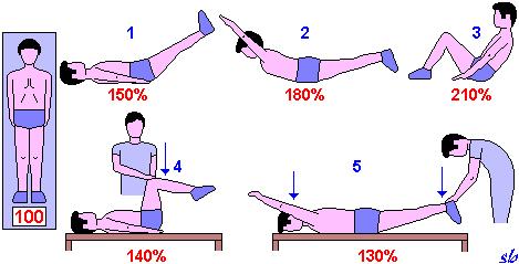 Pressione all interno del disco (in % della pressione nella posizione eretta) in diversi esercizi per rinforzare il corsetto muscolare (da Basi biomeccaniche nella