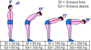 Modificazione del carico vertebrale in funzione dell angolo del tronco e della forza dei soggetti (da tabella descrittiva in L allenamento della forza di Manno R. - Soc.