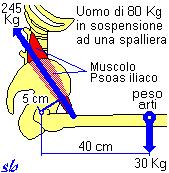 sportif di Virhed R. - Ed.