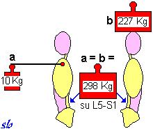 I carichi compressivi su un disco intervertebrale lombare ammontano, rispettivamente, a 630 e 380 Kg.