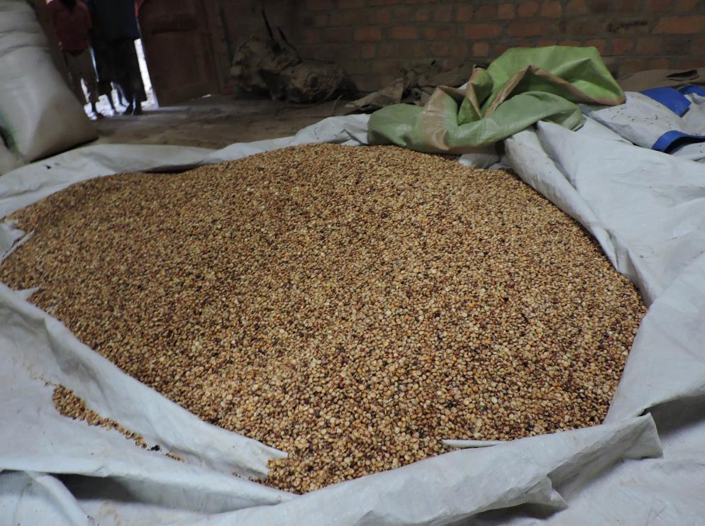 La pappetta che gustano i bambini di Muhanga e Bunyatenge è un mix di soli due cerali il mais e la soia (escluso il sorgo che non si coltiva localmente).