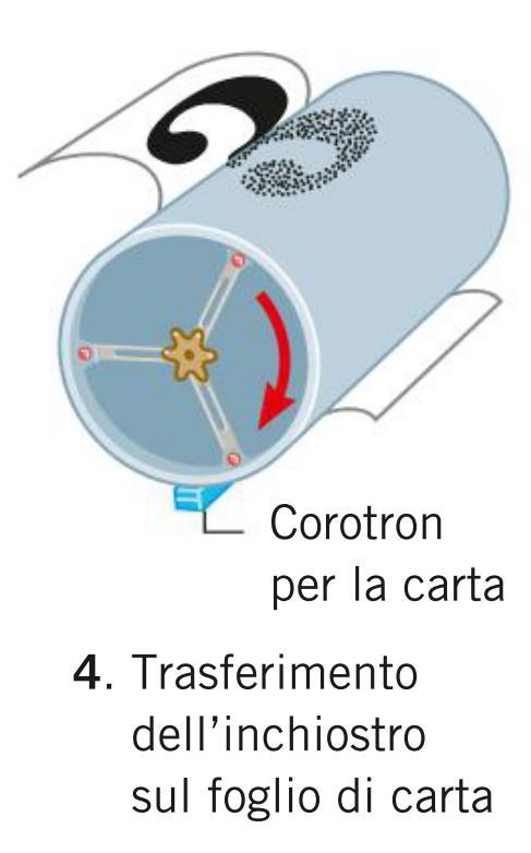 conduttore elettrico.