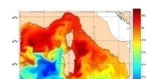 Descrizione del Progetto Realizzare un innovativo sistema numerico per la gestione delle emergenze ambientali