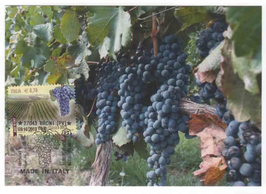 Fig.28 Made in Italy Vini DOCG Oltrepò Pavese metodo classico DOCG Ann. A.S.I.- I G Broni (PV) -18-10-2013 Val.