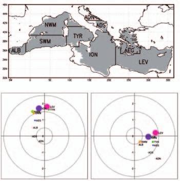 Figura 2. Sopra: mappa dei sottobacini del Mediterraneo (sono evidenziate in grigio le aree con profondità maggiore di 200 m).