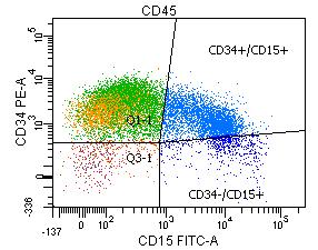 CD34 -