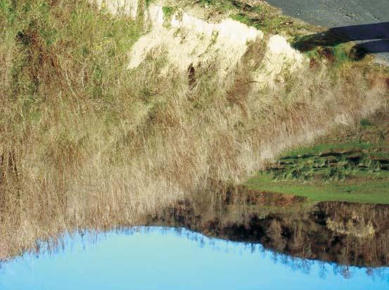 Seconda relazione sullo stato dell ambiente - aggiornamento 2003 nate e materassi verdi, terre rinforzate, ecc.);