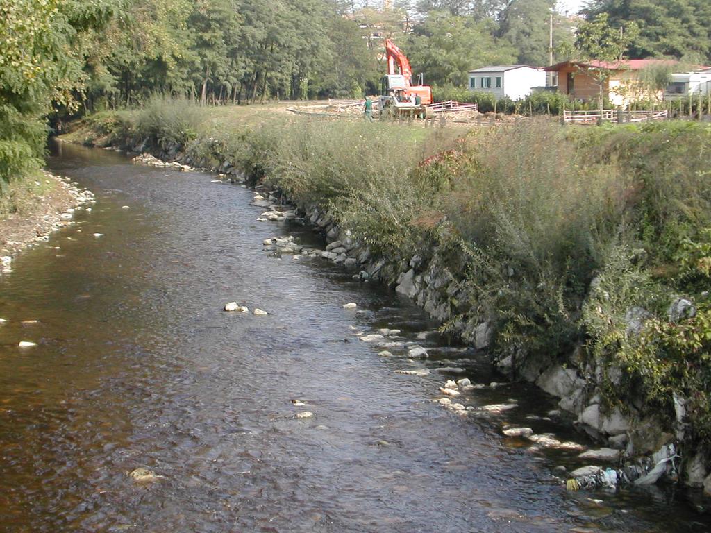 NATURALISTICA novembre 2005 la sfida