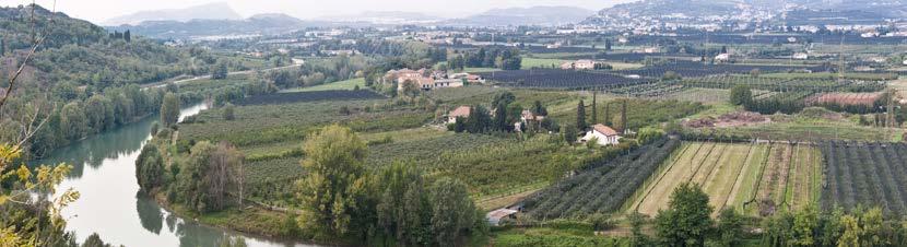 CHI SIAMO FontanaBio nasce nel 2012 dall azienda di famiglia: Azienda Agricola Fontana, certificata biologica nel 1995.