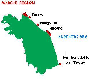 IL CAMPIONAMENTO PESARO ANCONA SAN BENEDETTO DEL TRONTO Allevamenti 1 2 3 Senigallia 4 Punti di Prelievo Selvatici Sotto la