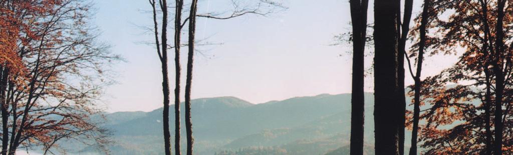 6_CENTRO DI ANIMAZIONE RURALE DI PIAN CANSIGLIO La Foresta del Cansiglio si inserisce ai confini della provincia di Belluno, Treviso e Pordenone con un ambiente caratterizzato da ampi prati