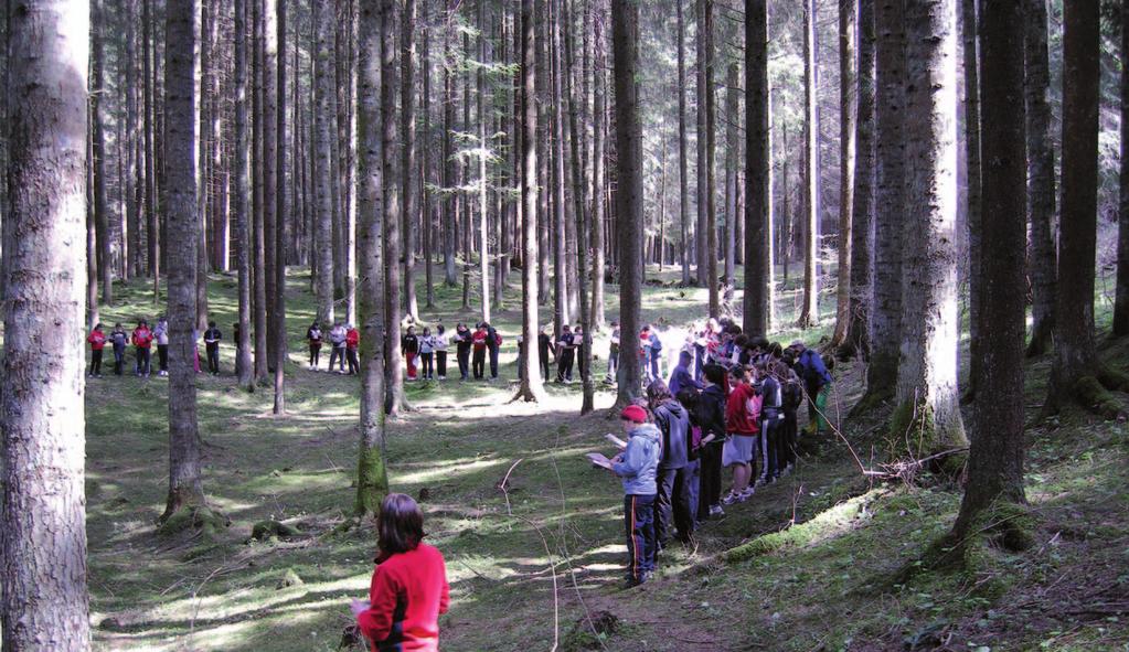 Orienteering, lo sport dei boschi Codice attività: PC20/ Sensibilizzazione dei partecipanti al patrimonio naturalistico-culturale della Foresta del Cansiglio e, allo stesso tempo, l avvicinamento dei