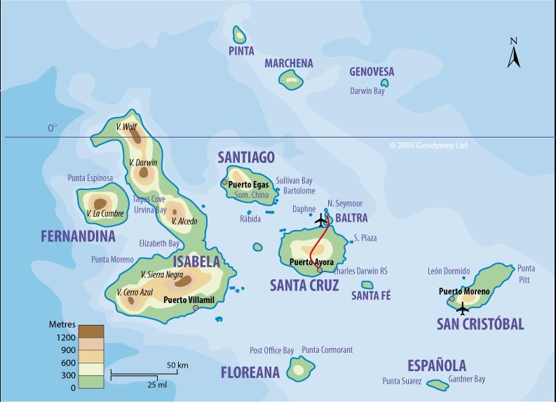 GALAPAGOS Galapagos. Hanno sempre avuto una forte atmosfera magnetica. Isole che hanno sempre trovato un modo per essere alla ribalta.