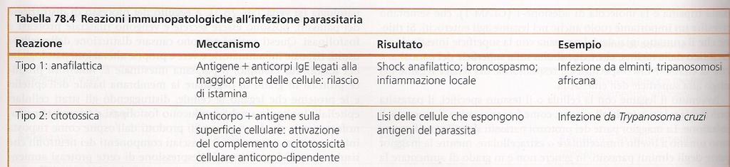 INTERFERENZA DEI