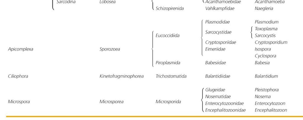 invadere il sangue e i tessuti profondi, o a localizzazione intestinale a localizzazione