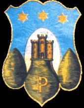 Comune di PIEDIMONTE SAN GERMANO (Provincia di Frosinone) Medaglia d argento al merito civile Sede: Piazza Municipio 1 c.a.p. 03030 Cod. Fisc. 81000290601 Tel.