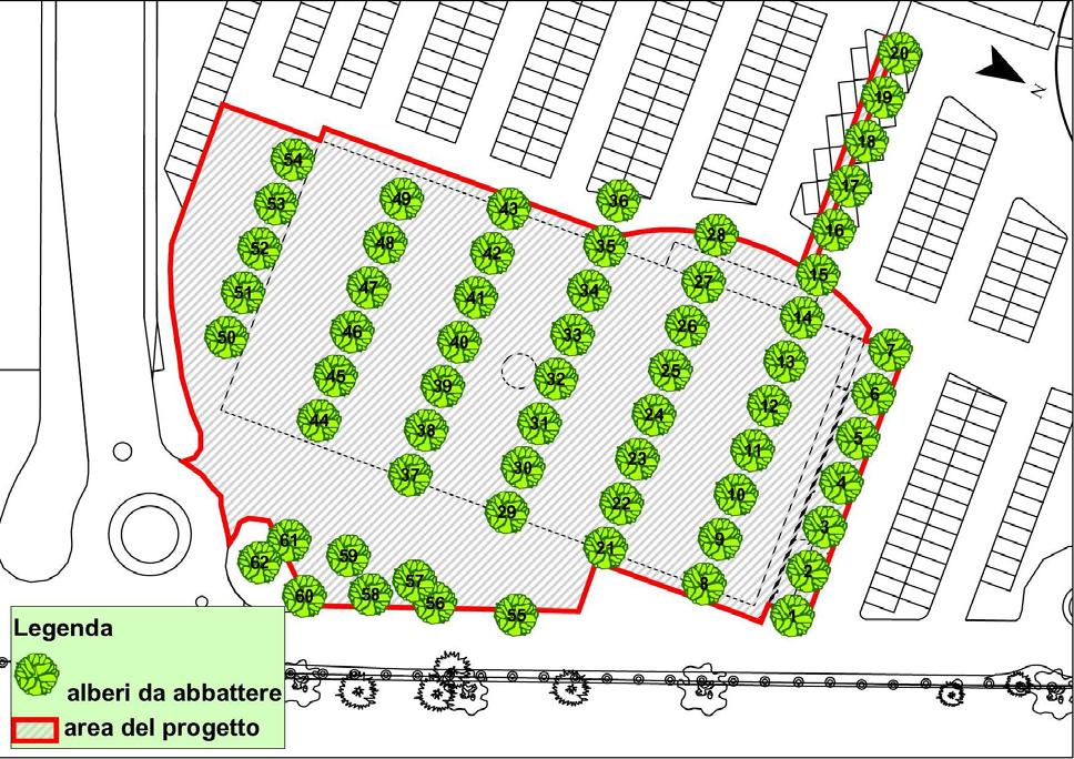 Fig. 3.2/4: Esatta collocazione degli individui da abbattere, le caratteristiche di ciascun albero opportunamente numerato sono riportate in Tab.5.3/1.