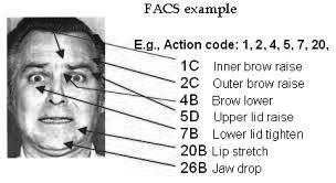 Facia Action Coding System (FACS, Ekman e Friesen) Psicoogia Sociae e dea Comunicazione Le emozioni di base secondo