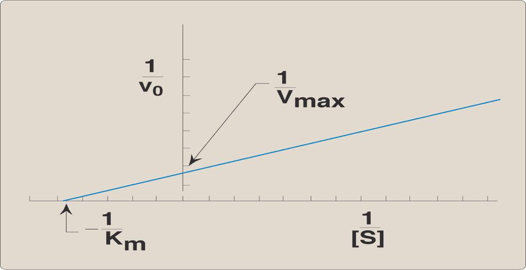 Grafico dei doppi reciproci (Lineweaver & Burk) V o = V K max m [S] +[S] 1 v o = K V