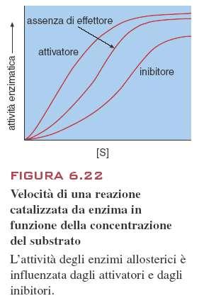 allosteriche