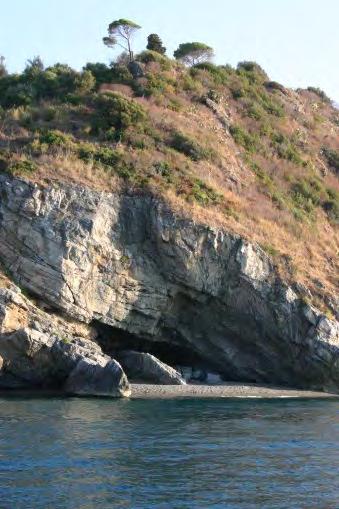 colonne di basalto, fuoriescono imponenti dal mare.