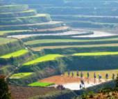 Sei ore di strada che ci riporteranno sugli altopiani tra colline e splendide risaie, soffermandoci spesso ad ammirare la laboriosità delle popolazioni degli altipiani e