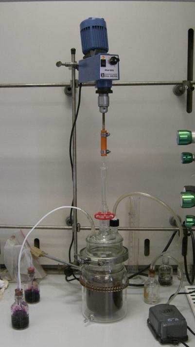 Ottimizzazione delle condizioni sperimentali nella rimozione del mercurio dal suolo in fase slurry volume: 1 litro slurry 1:10 aerazione: 1 L/min agitazione: 150 rpm OD